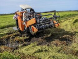 PSN Pangan di Merauke Siap Meningkatkan Kesejahteraan Masyarakat