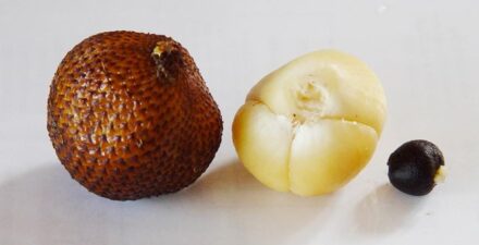 Ada beberapa efek samping makan salak jika dikonsumsi berlebihan.