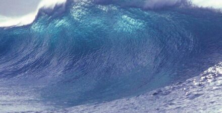 Panduan Menjaga Keselamatan di Pantai dengan Ombak Besar