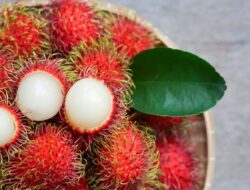 Rambutan, Buah Berbulu dengan Segudang Khasiat