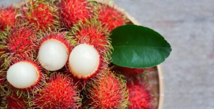 Rambutan, Buah Berbulu dengan Segudang Khasiat