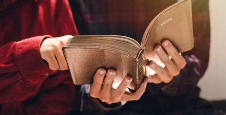 Ada beberapa ayat Alkitab tentang cinta.