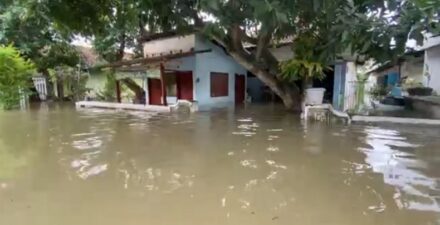 Hujan Deras Picu Banjir di Jombang, Rumah Warga Terendam