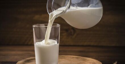 Program Makan Bergizi, Susu Diganti dengan Telur dan Daun Kelor, Ini Alasannya