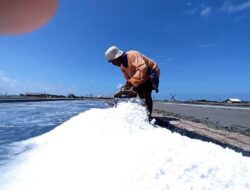 Indonesia Targetkan Swasembada Pangan dengan Pengurangan Impor