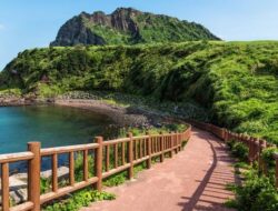 38 Turis Vietnam Hilang di Jeju, Korea Selatan Pertimbangkan Pengetatan Visa