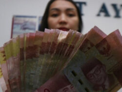 Apindo Desak Pemerintah Sediakan Panduan Penetapan UMS