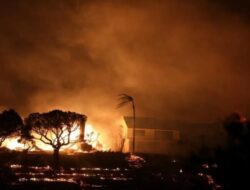 Sunset Fire Hanguskan 1.100 Bangunan di Los Angeles