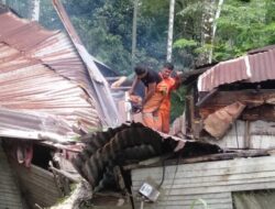 Pohon Tumbang Timpa Rumah Warga di Padang, Tidak Ada Korban Jiwa