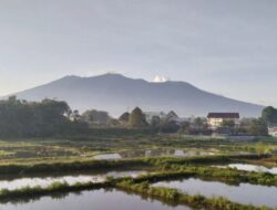Tanah Datar dan Agam Sepakat Tutup Jalur Pendakian Marapi