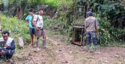 BKSDA Pasang Kandang Jebak