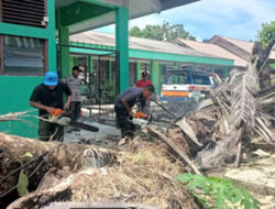 Pohon Tumbang di SMPN 21 Padang, Tidak Ada Korban Jiwa