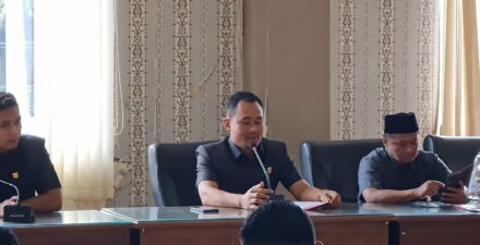 Ratusan Nakes dan Tenaga Honorer Sampaikan Aspirasi ke DPRD Pasaman Barat