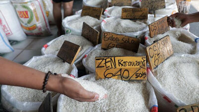 Menteri Pertanian, Krisis Pangan Bisa Dihindari dengan Prioritas pada Pangan