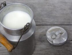 Keamanan Susu Pasteurisasi, Pilihan Aman Dibandingkan Susu Mentah