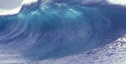 Gelombang Tsunami Menerjang Kochi
