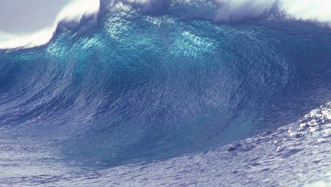 Gelombang Tsunami Menerjang Kochi