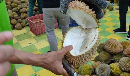 Pecinta Durian
