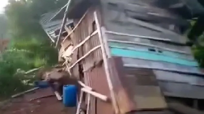 Gajah Masuk Permukiman