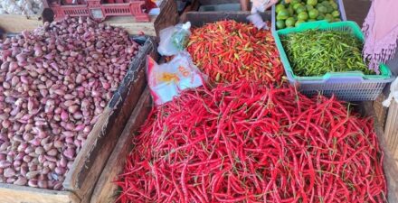 Cabai Merah
