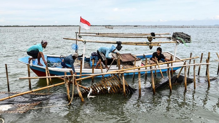 Pembongkaran Pagar Laut Tangerang