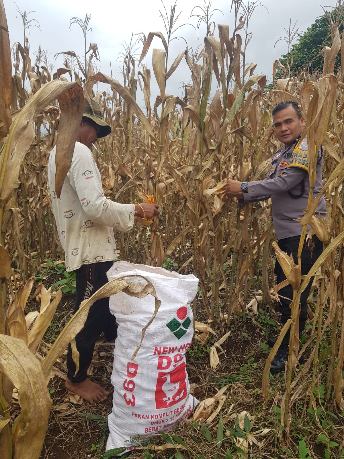 Pisang jadi salah satu buah paling tinggi kalori.