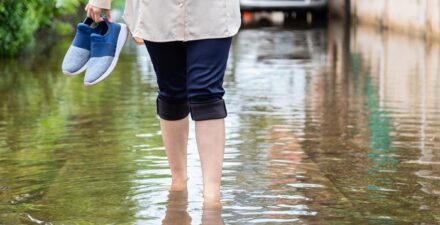 Hujan Semalam Sebabkan Banjir di Kembangan Jakarta Barat