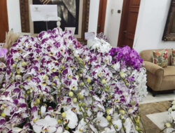 Prabowo dan Megawati Saling Kirim Perhatian, Mulai Bunga hingga Vitamin