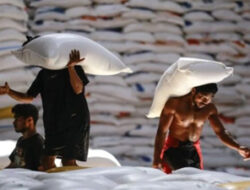 Bulog Ditargetkan Serap 3 Juta Ton Beras Hingga April 2025