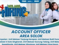 PT PNM Area Solok Buka Lowongan Account Officer, Simak Persyaratannya!
