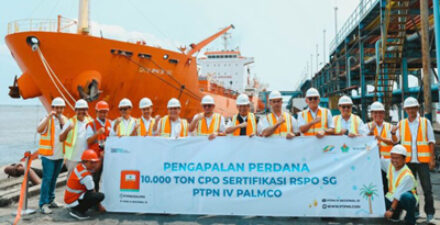 Ton Minyak Sawit ke Italia