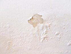 Solusi Ampuh Atasi Tembok Lembap di Musim Hujan