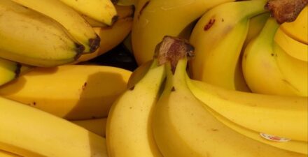 Pisang