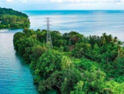 PLN Percepat Transisi Energi, Targetkan Net Zero Emission 2060