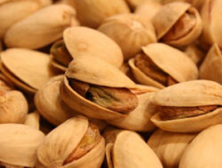 Camilan Sehat, Kacang-Kacangan yang Bantu Diet