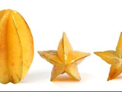 Belimbing, Buah Lokal dengan Segudang Manfaat bagi Kesehatan