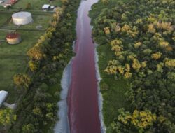 Air Kanal Buenos Aires Mendadak Merah, Diduga Tercemar Limbah
