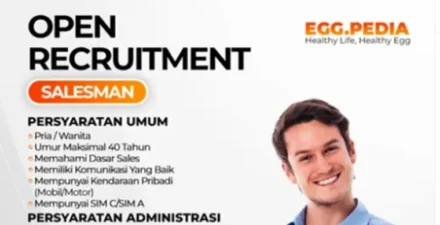 Lamar Sekarang! Egg.Pedia Butuh Salesman, Gaji dan Insentif Menanti!