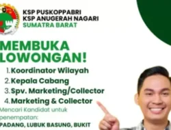 Koperasi Sumbar Buka Lowongan Kerja, Ini Posisi yang Tersedia!