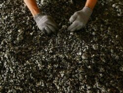 FINI Usulkan Penundaan Kenaikan Royalti Nikel di Tengah Anjloknya Harga