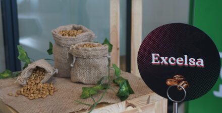Intip Peluang Baru di Industri Kopi Indonesia