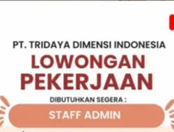 Karier di Kota Padang, PT Tridaya Dimensi Indonesia Butuh Staff Admin