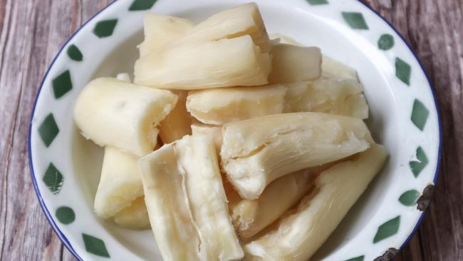 Ada banyak manfaat makan singkong rebus yang bisa Anda dapatkan.