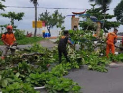 Hujan Deras dan Angin Kencang di Padang, Rumah Rusak, Jalan Tertutup