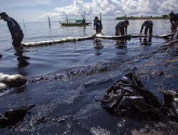 Nelayan Bintan Kesulitan Melaut Akibat Pencemaran Minyak