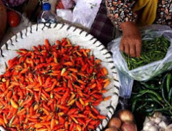 Pedagang Warteg Kurangi Porsi Sambal Akibat Kenaikan Harga Cabai