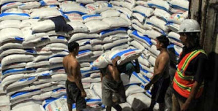 Petani Diminta Segera memperbarui Data e-RDKK, Ini Jadwalnya!