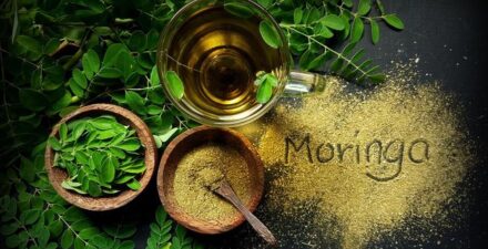 Manfaat Daun Kelor untuk Pria, Dari Kesehatan Prostat hingga Kesuburan