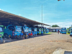 Pengusaha Bus Keluhkan Dampak Larangan Study Tour Sekolah