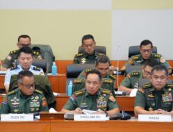 Revisi UU TNI: Perkuat Pertahanan Negara dan Profesionalisme Prajurit